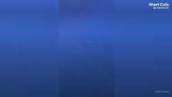 1438701 B