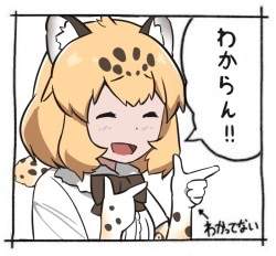 24334 B