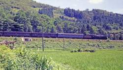 3258856 B
