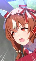 80331 B