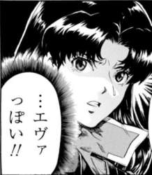 24291 B