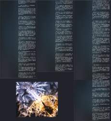 3858957 B