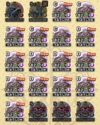 594455 B