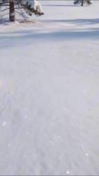 1068965 B