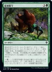 28888 B