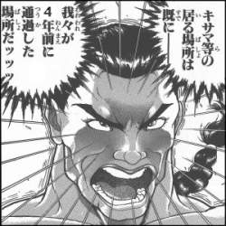 56536 B
