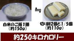 8445 B