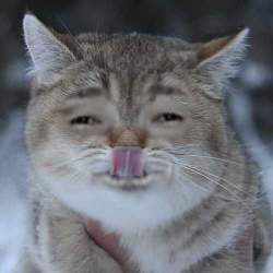 27372 B