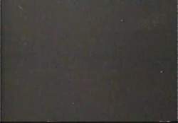 5582454 B