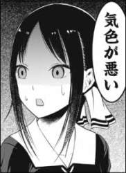 13259 B