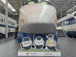 495362 B