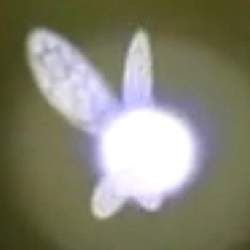 11679 B