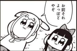 45934 B
