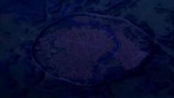 7991219 B