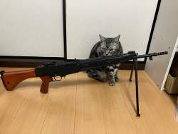 298983 B