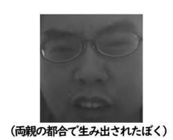 66557 B