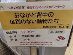 108645 B