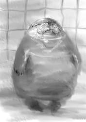 72653 B
