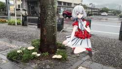 860523 B