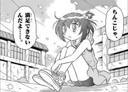 256833 B