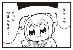 23735 B