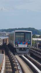 24449 B