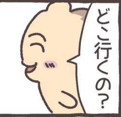 12065 B
