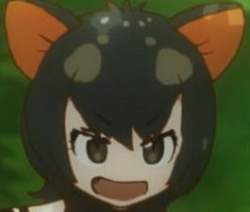 7505 B