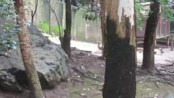 1903620 B