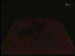 2988252 B