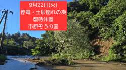 633384 B