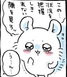 49718 B