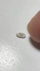 1186898 B