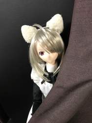 115541 B