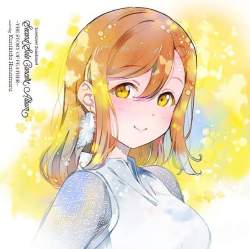 43381 B
