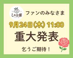 47881 B