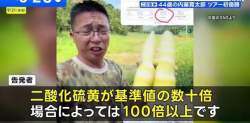 41055 B