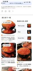 4569636 B
