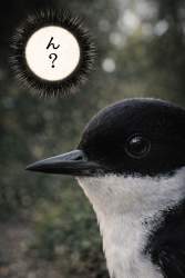 148322 B