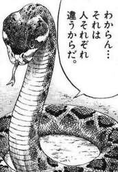 64856 B