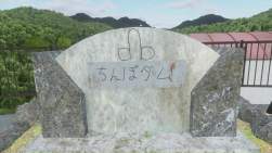 3255870 B
