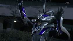 224279 B