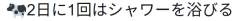 12288 B