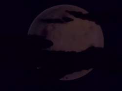 3227457 B
