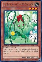44571 B