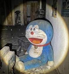 231566 B