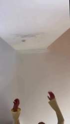 1177542 B