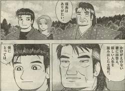 49533 B