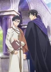 41291 B