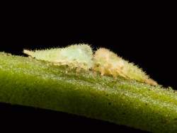 122021 B